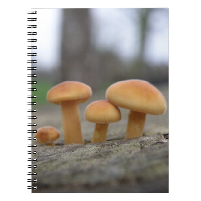 Cuaderno Bloc de notas de macros para toadstools pequeños (Frente)