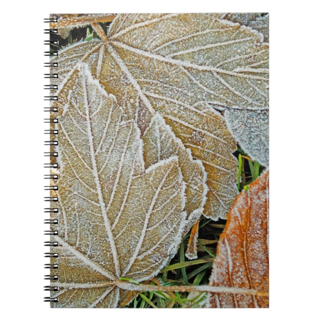 Cuaderno Bloc de notas de Maple congelado (Frente)