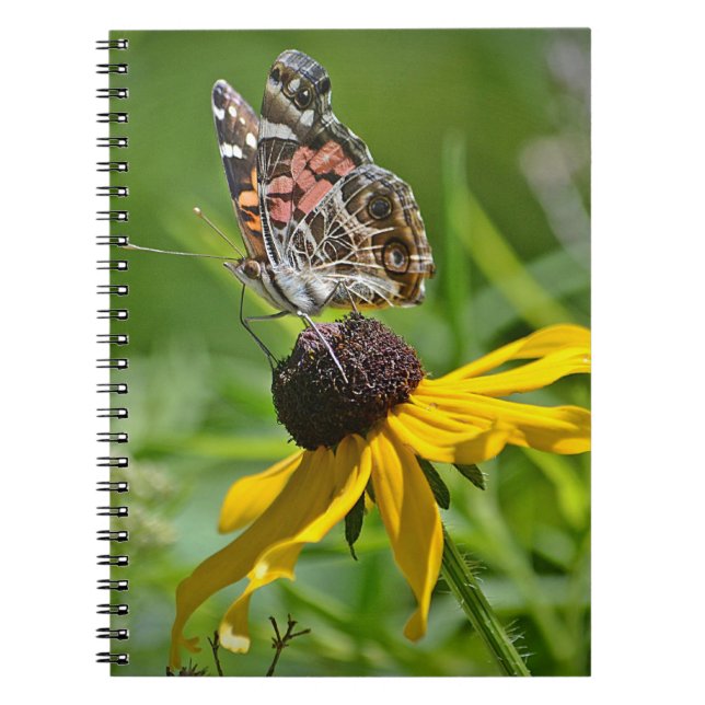 Cuaderno Bloc de notas de mariposa (Frente)