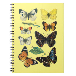Cuaderno bloc de notas de mariposa gobernado por la univers