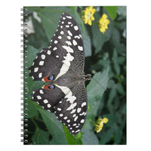 Cuaderno Bloc de notas de mariposa y flores de cal