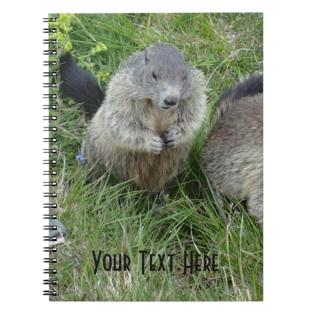 Cuaderno bloc de notas de marmot (Frente)