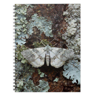 Cuaderno Bloc de notas de Moth Lichen camuflado