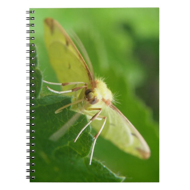 Cuaderno Bloc de notas de moto de piedra angular (Frente)