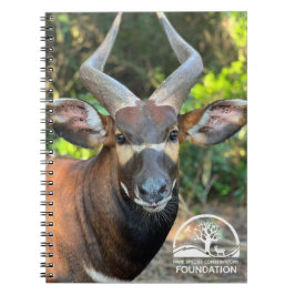 Cuaderno Bloc de notas de Mountain Bongo