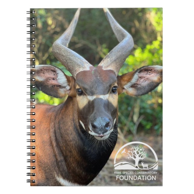 Cuaderno Bloc de notas de Mountain Bongo (Frente)