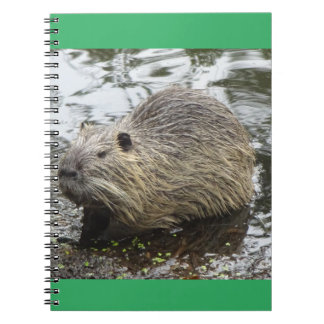 Cuaderno bloc de notas de Nutria
