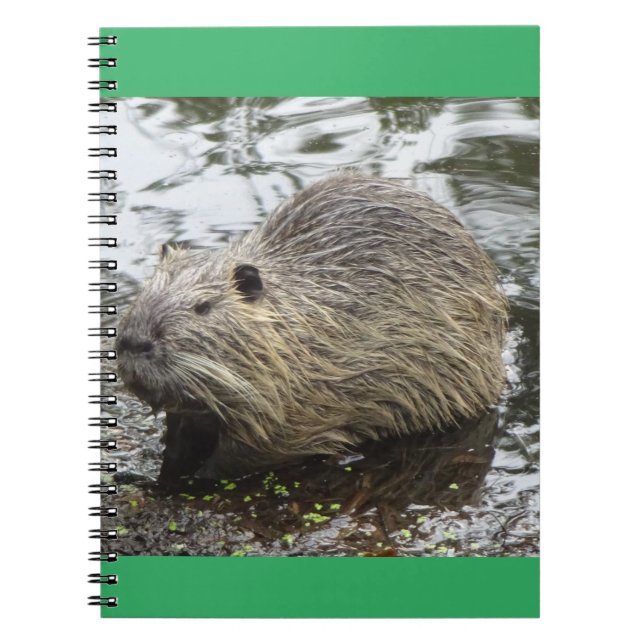Cuaderno bloc de notas de Nutria (Frente)