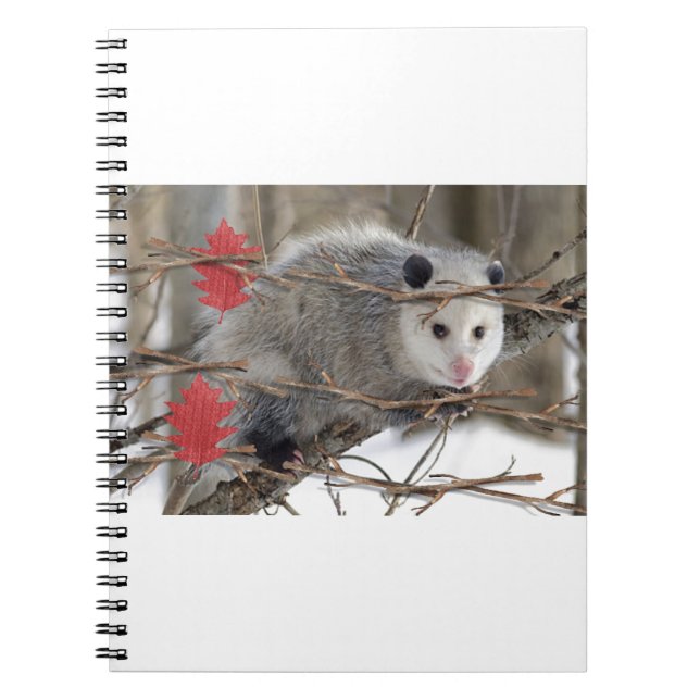 Cuaderno Bloc de notas de Opossum Nature (Frente)