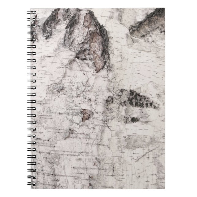Cuaderno bloc de notas de patrón de corteza birch (Frente)