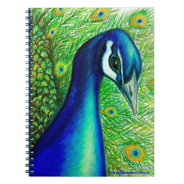 Cuaderno bloc de notas de Peacock (Frente)