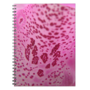 Cuaderno Bloc de notas de pepino Foxglove Pink
