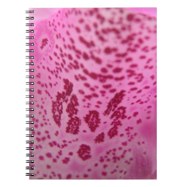 Cuaderno Bloc de notas de pepino Foxglove Pink (Frente)