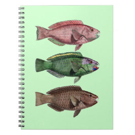 Cuaderno Bloc de notas de pez loro