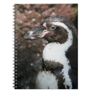 Cuaderno Bloc de notas de pingüino