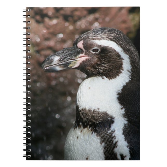 Cuaderno Bloc de notas de pingüino (Frente)