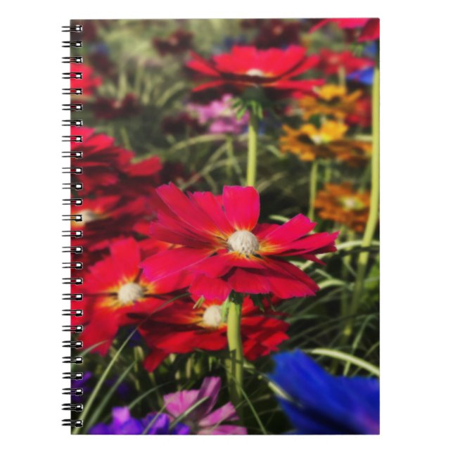 Cuaderno Bloc de notas de primavera irlandeses (Frente)