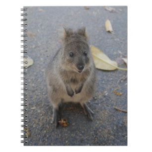 Cuaderno bloc de notas de Quokka