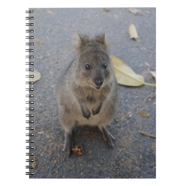 Cuaderno bloc de notas de Quokka (Frente)