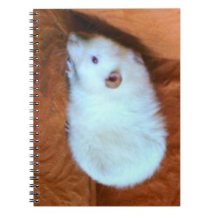 Cuaderno Bloc de notas de rata blanca de bola de nieve