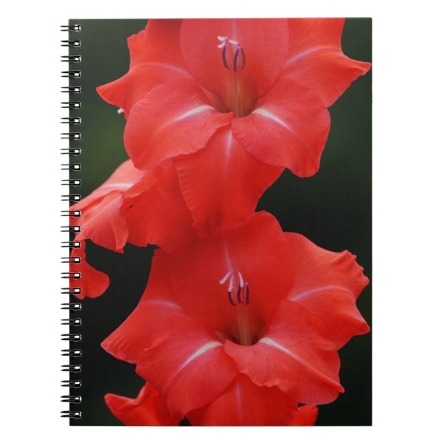 Cuaderno Bloc de notas de Red Flowers (Frente)