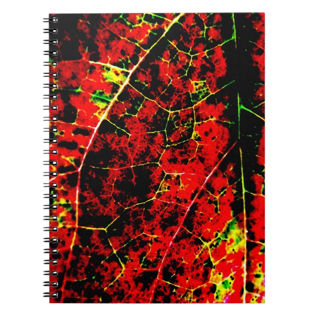 Cuaderno Bloc de notas de resumen rojo (Frente)