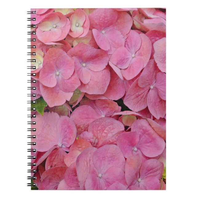 Cuaderno Bloc de notas de revistas de hidrangea rosa (Frente)