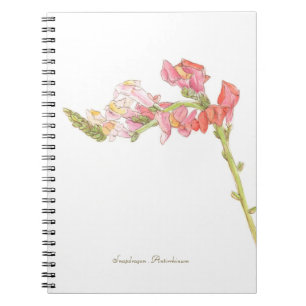 Cuaderno bloc de notas de Snapdragon