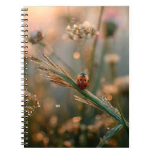 Cuaderno Bloc de notas de Sunrise Meadow de marihuana