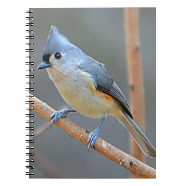 Cuaderno Bloc de notas de Titmouse (ratón) con desplazamien (Frente)