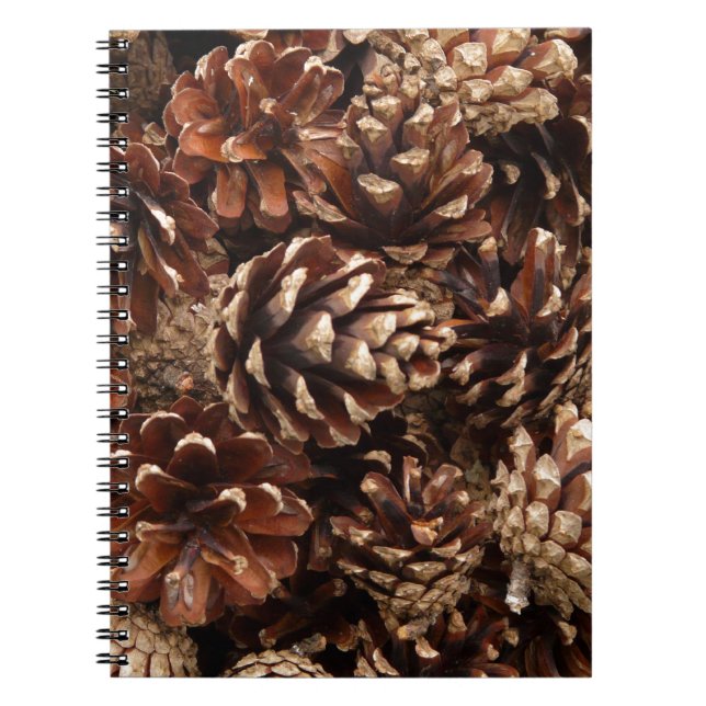 Cuaderno Bloc de notas de tonos de pino (Frente)