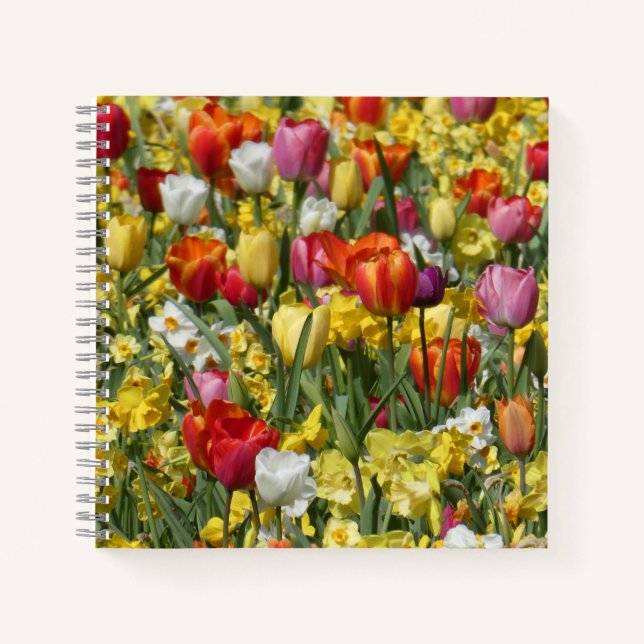 Cuaderno Bloc de notas de tulipanes y daffodils coloridos (Anverso)