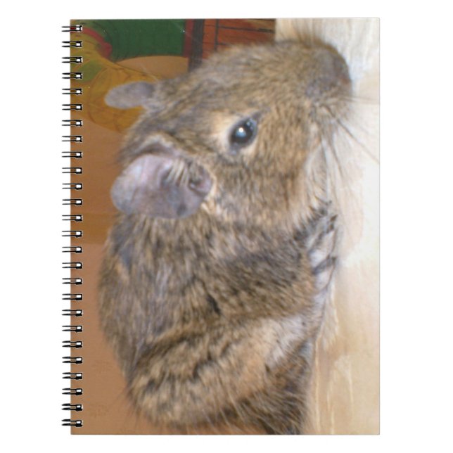 Cuaderno Bloc de notas Degu Relaxing (Frente)