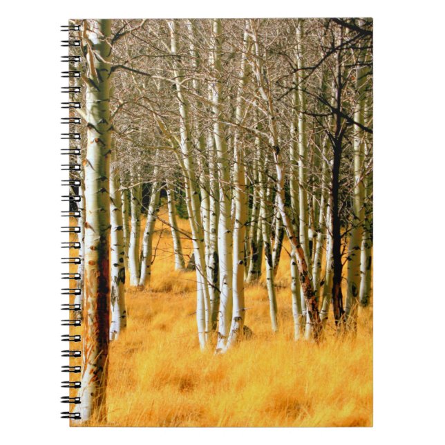 Cuaderno bloc de notas del bosque de aspen (Frente)