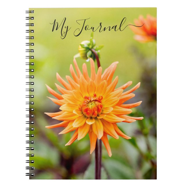 Cuaderno Bloc de notas del naranja Dahlia Journal (Frente)