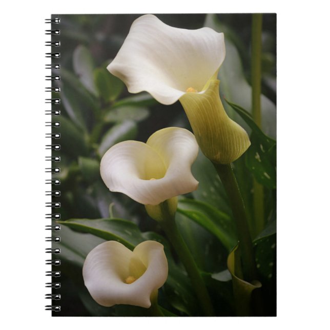 Cuaderno Bloc de notas del White Calla Lily Garden (Frente)