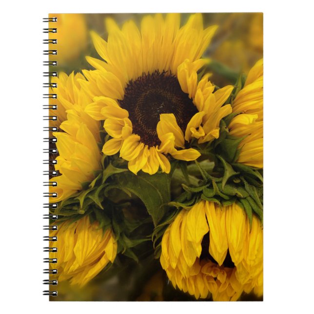 Cuaderno Bloc de notas desenfocado de girasoles (Frente)