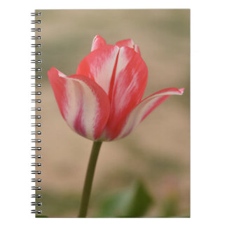 Cuaderno Bloc de notas/diario en espiral de tulipán