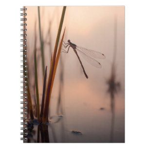 Cuaderno Bloc de notas Dragonfly Misty Dawn