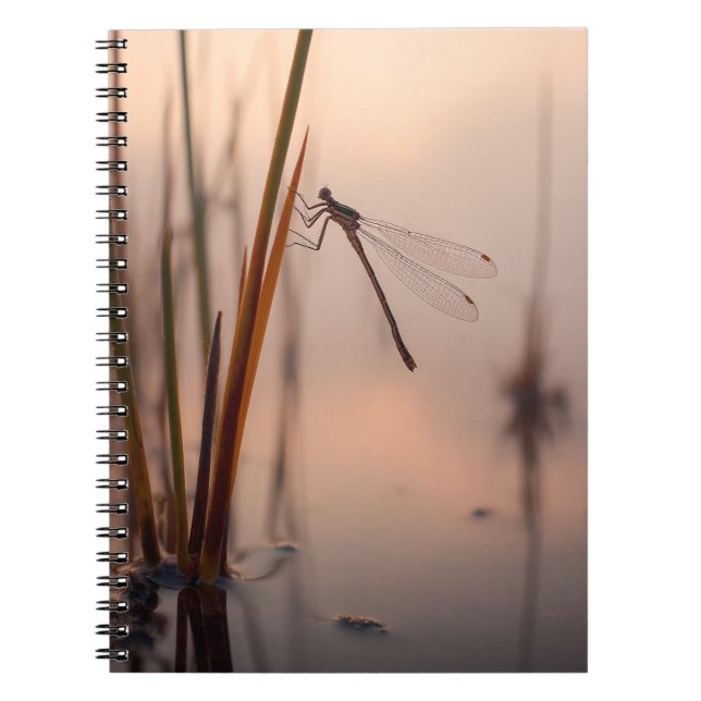 Cuaderno Bloc de notas Dragonfly Misty Dawn (Frente)