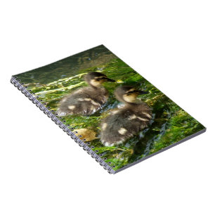 Cuaderno Bloc de notas Ducklings