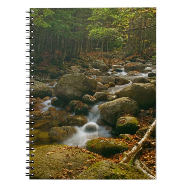 Cuaderno Bloc de notas en cascada (Frente)