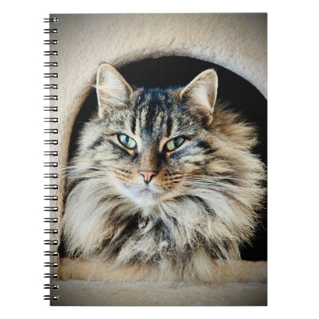 Cuaderno Bloc de notas en espiral (Frente)
