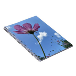 Cuaderno Bloc de notas en espiral aletargado