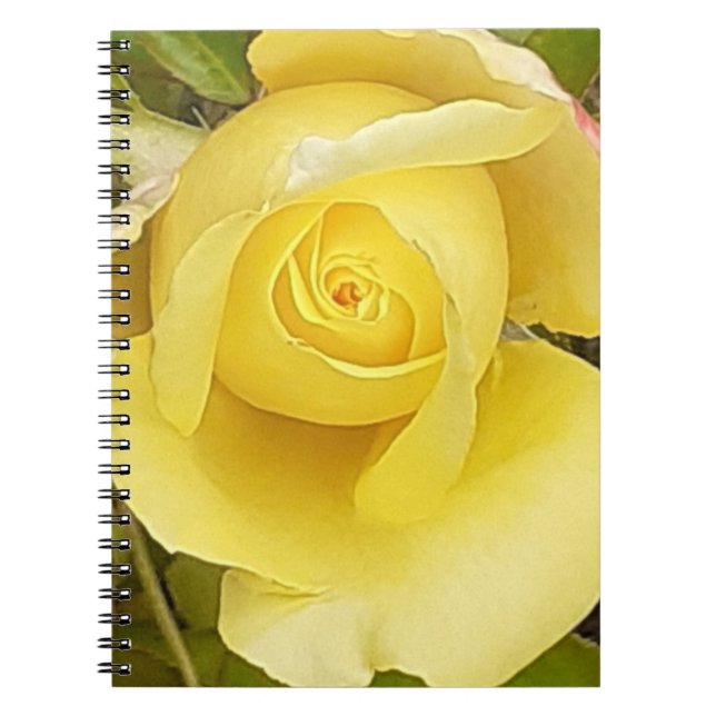 Cuaderno Bloc de notas en espiral amarillo de Rosebud (Frente)
