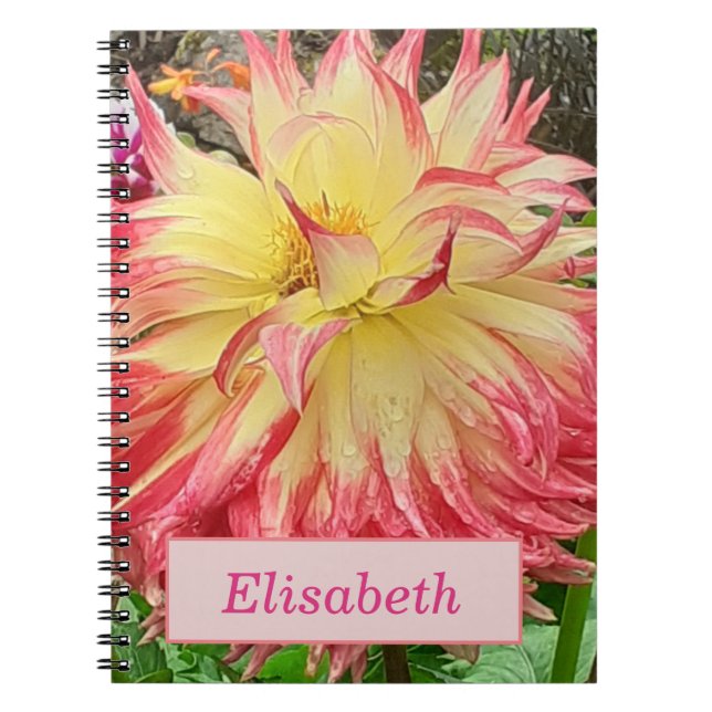 Cuaderno Bloc de notas en espiral dahlia rosa y amarillo (Frente)