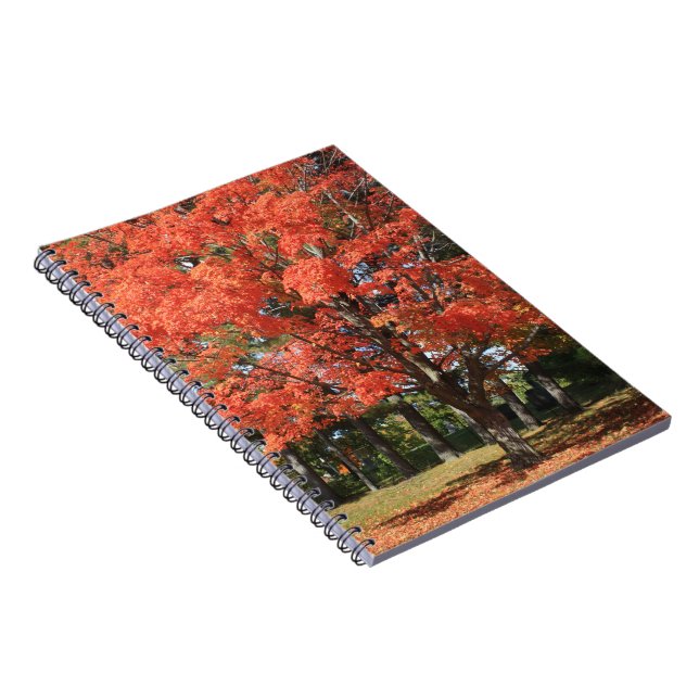 Cuaderno Bloc de notas en espiral de árbol de arce de otoño (Lado Derecho)