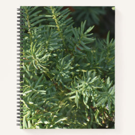 Cuaderno Bloc de notas en espiral de bosques de pino