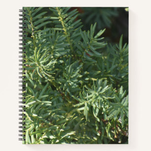 Cuaderno Bloc de notas en espiral de bosques de pino
