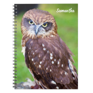 Cuaderno bloc de notas en espiral de búho